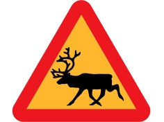Beware Reindeers